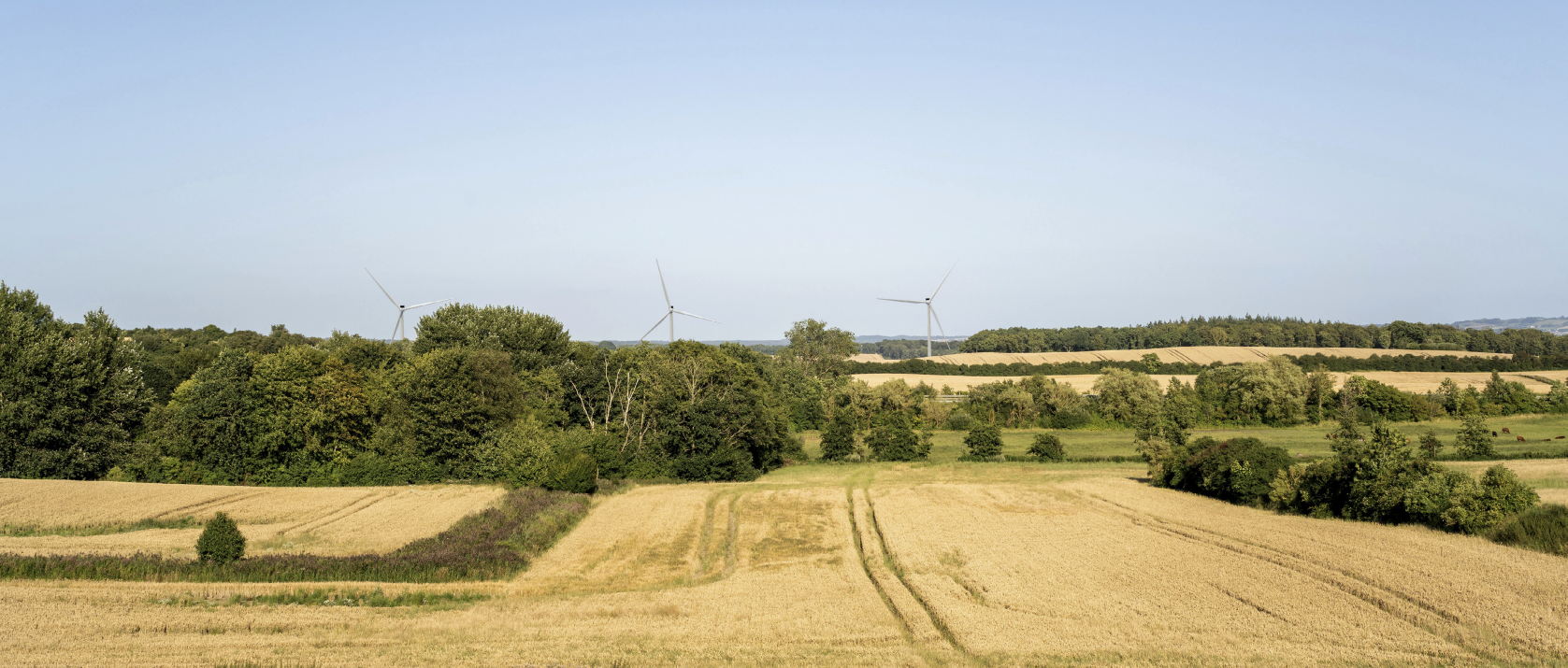 Vindmøller i dansk landskab ved Vosnæs
